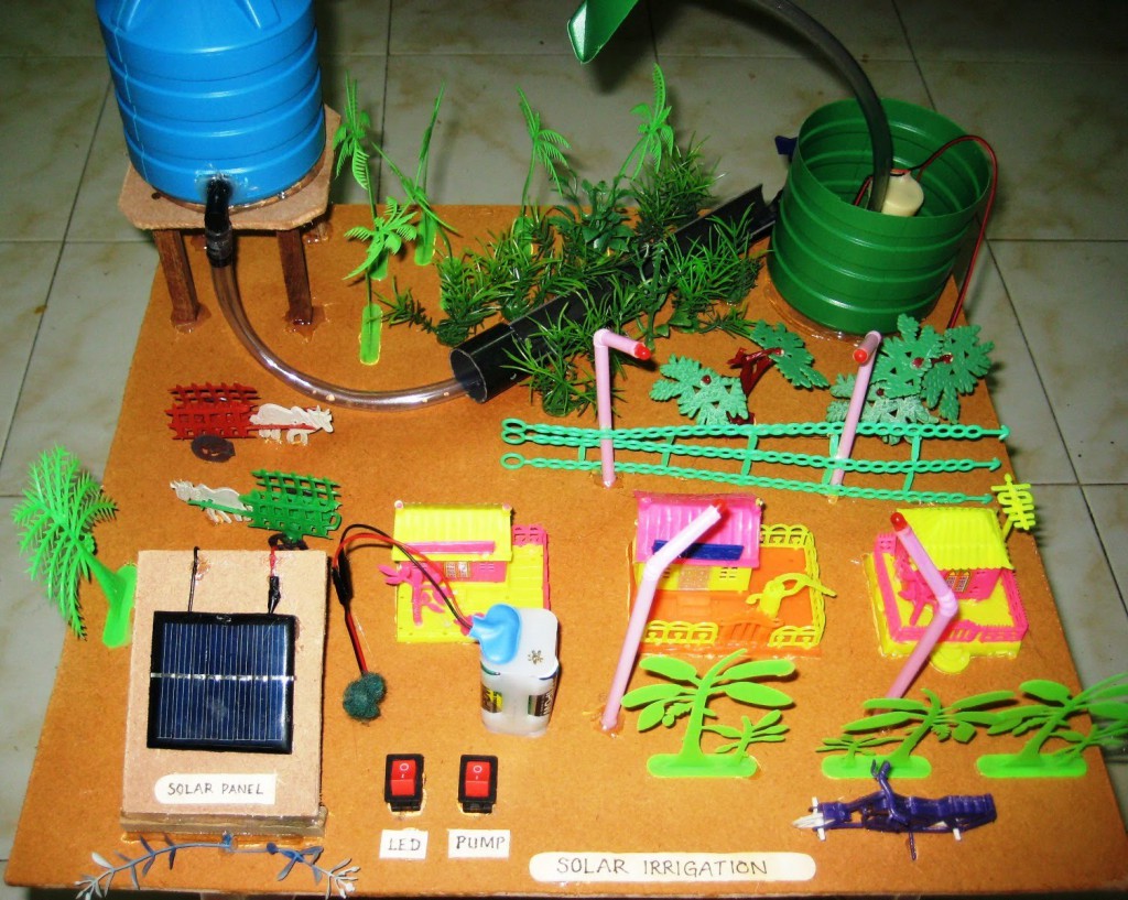 Kid And Pet Friendly House Plants Kid And Pet Friendly House Plants
